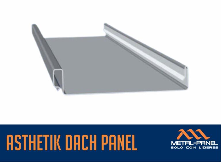 dach panel